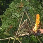 top 10 survival tips every outdoor person should know2