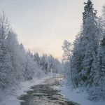 honeymoon at loggers lodge sweden 1