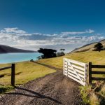 seascape at annandale new zealand 2