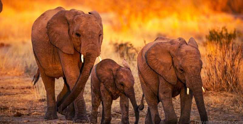 jabali ridge tanzania 7