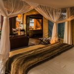 lower zambezi national park 3