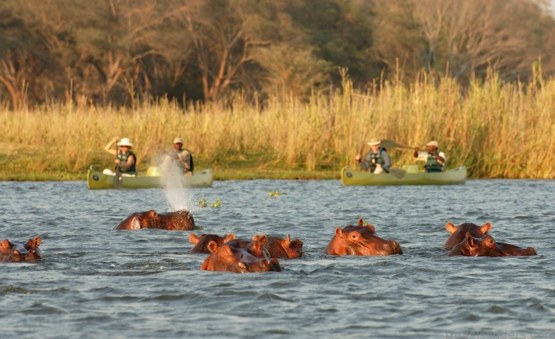 lower zambezi national park