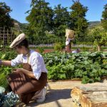 six senses douro valley portugal 5