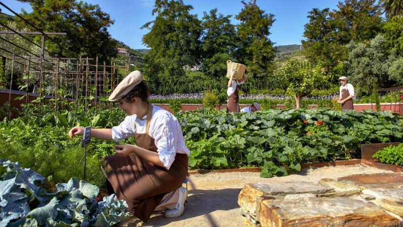 six senses douro valley portugal 5