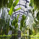 the siam bangkok thailand 8