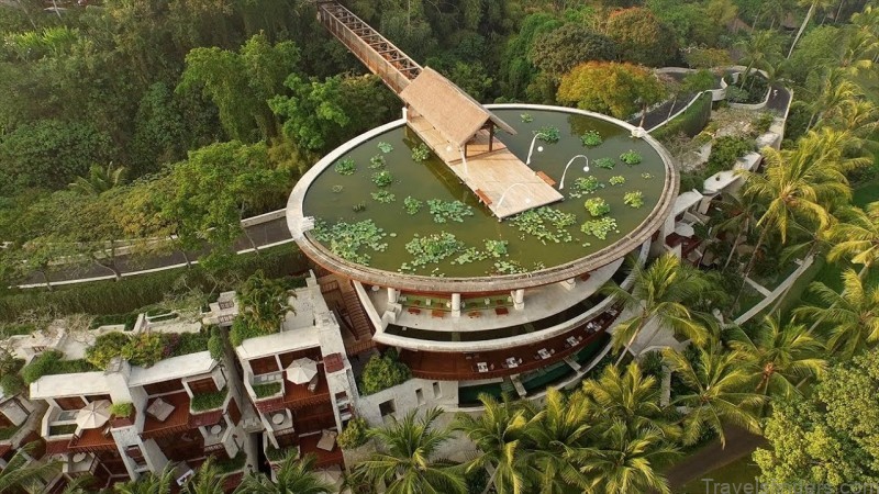 four seasons resort bali at sayan ubud reviews 4