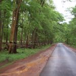 top 10 underrated destinations in india 5