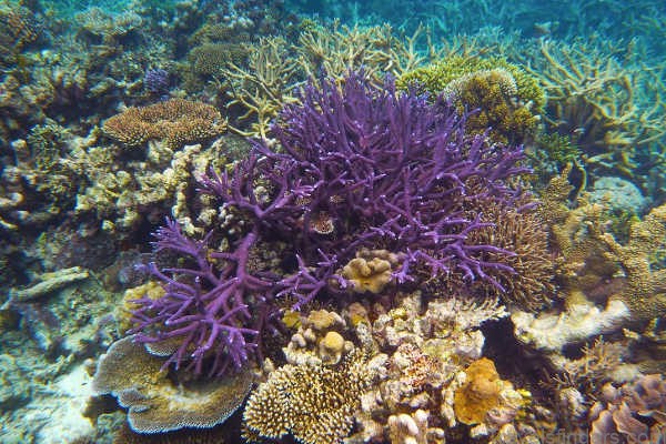 where you have to visit before climate change takes over 9