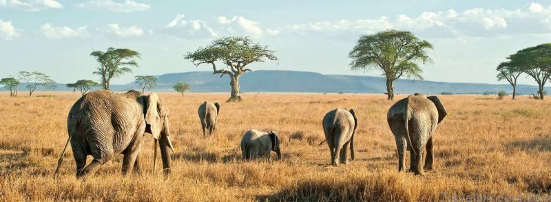 a complete guide to traveling in tanzania the ultimate planner 10
