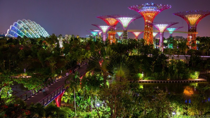 a guide to singapore the ultimate travel destination 3