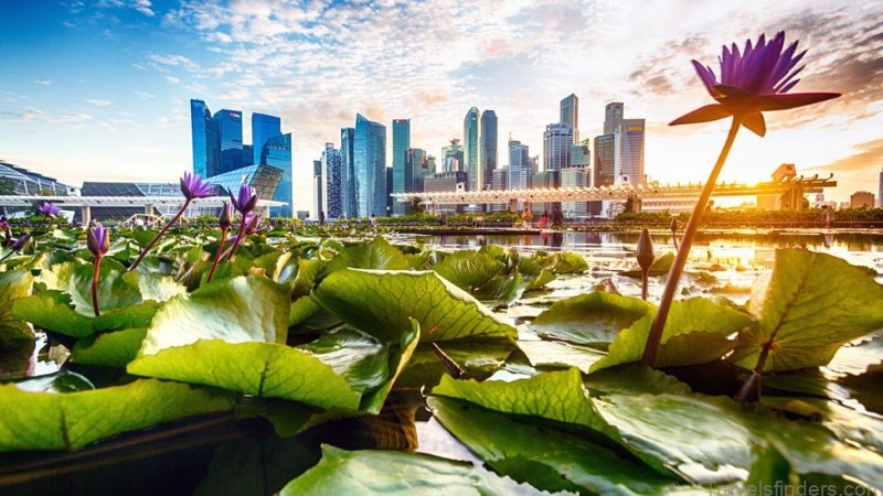 a guide to singapore the ultimate travel destination 6