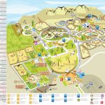 al ain travel guide find everything you need to know here 2