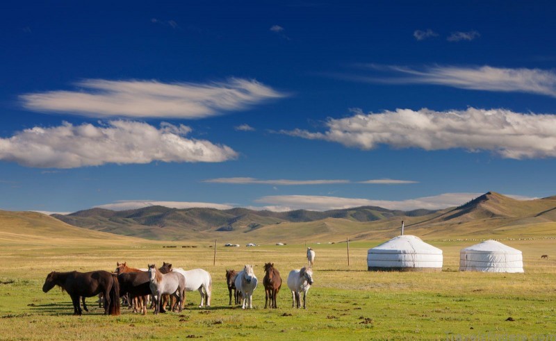 mongolia travel guide map for international tourists 7