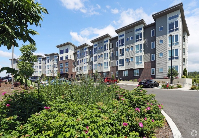 the best places to go and things to do in bellingham 9