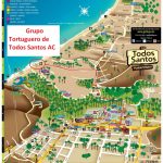 the best things to do in todos santos mexico 4