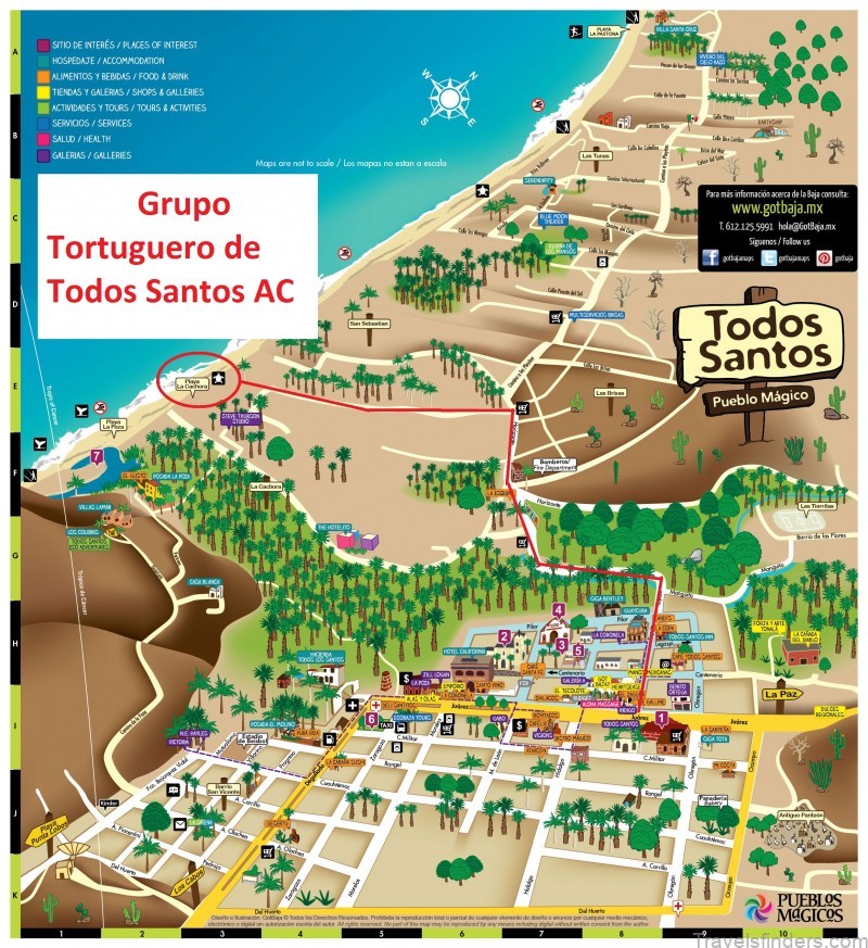 the best things to do in todos santos mexico 4