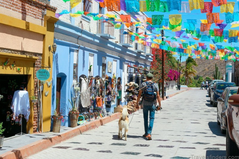 the best things to do in todos santos mexico 9