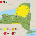 the definitive albany travel guide where to walk eat and drink 4