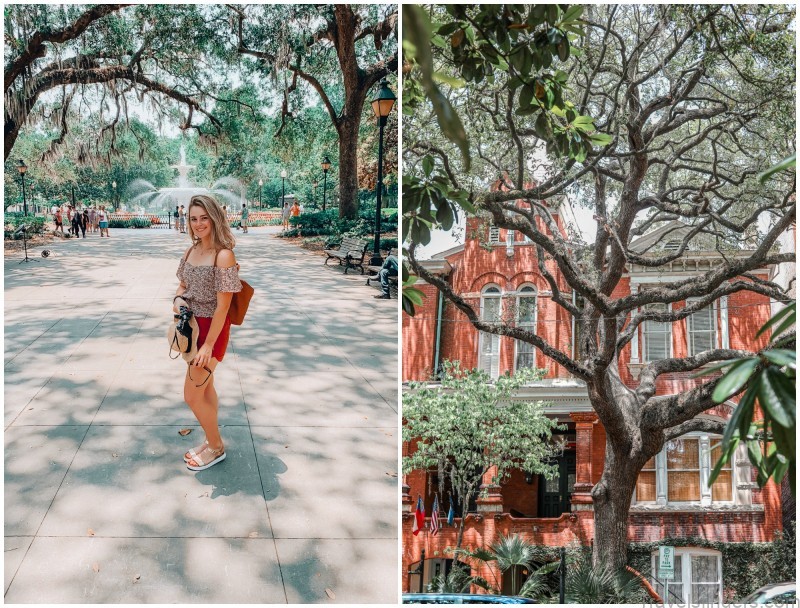 when to go perfect time to visit savannah georgia 8