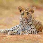 zimbabwe travel guide top places to visit in zimbabwe 2