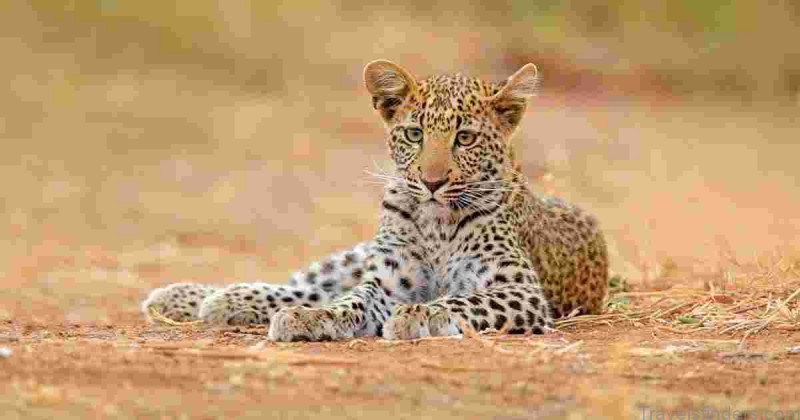 zimbabwe travel guide top places to visit in zimbabwe 2