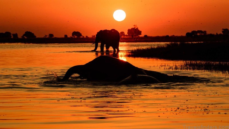 botswana travel guide for tourists map of the country 9