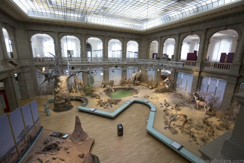 the perfect guide to bonn germany 7