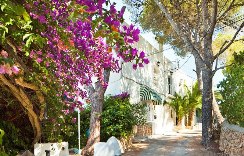 the best travel guide for tourists maps 8