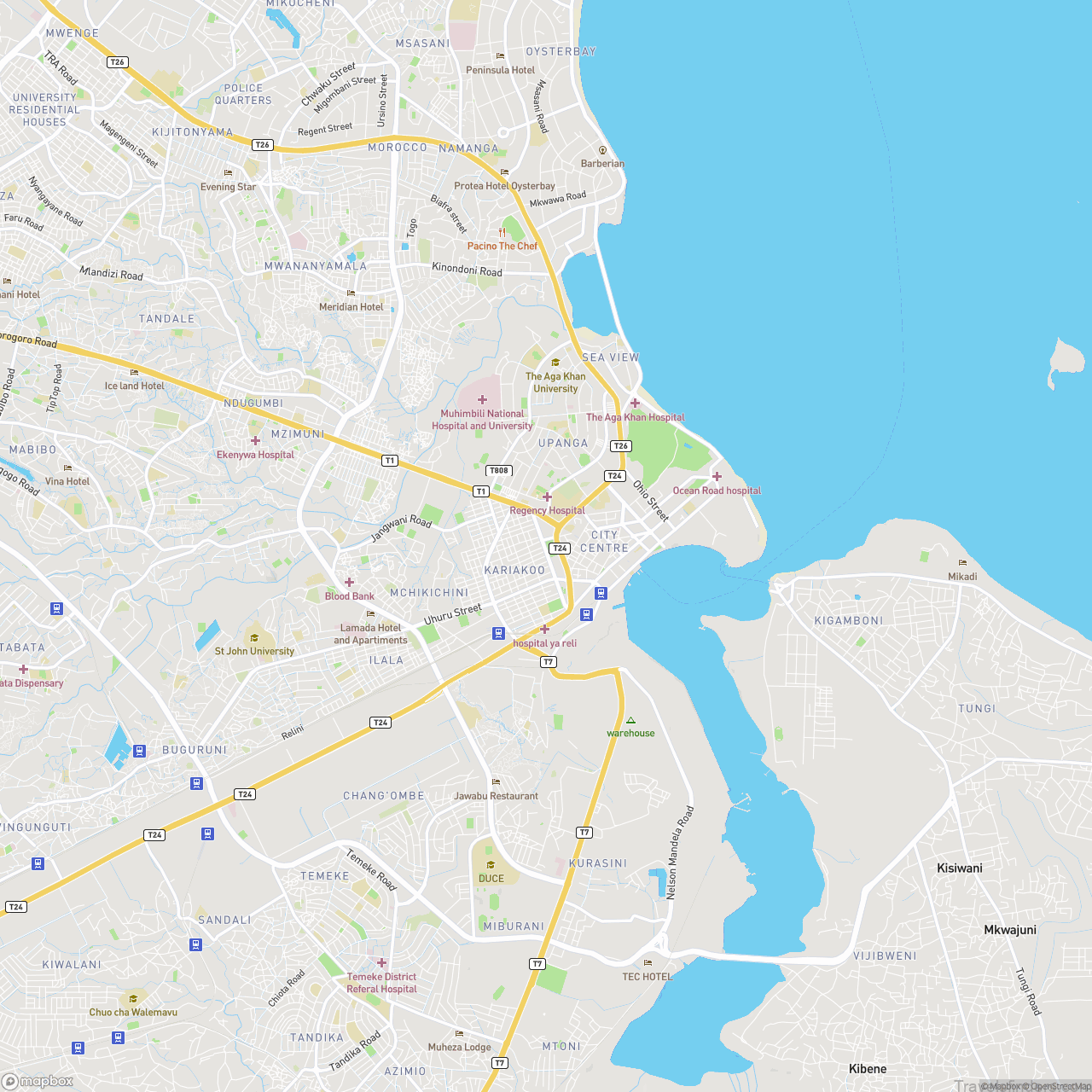 Dar Es Salaam Streets Map