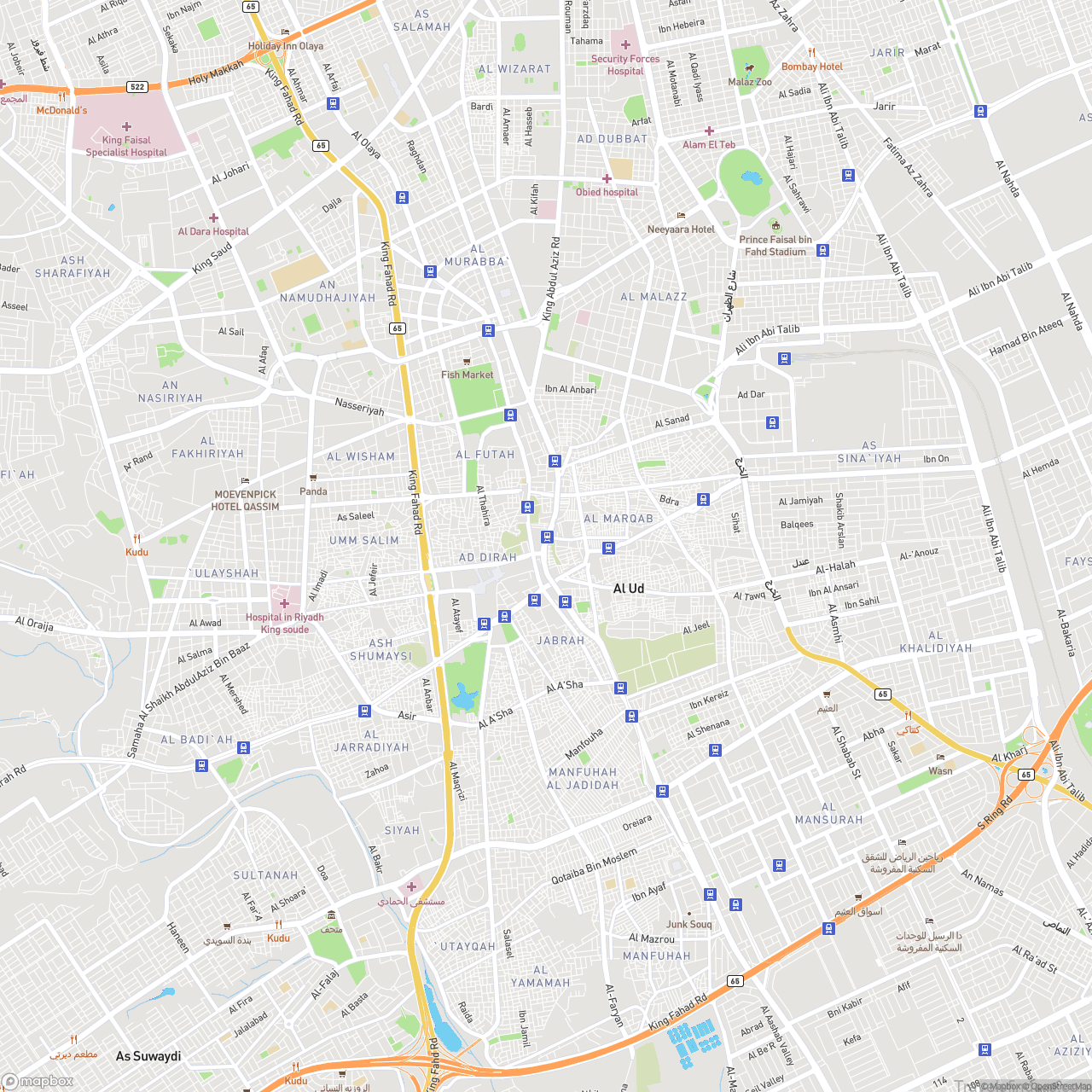 Riyadh Saudi Arabia Streets Map