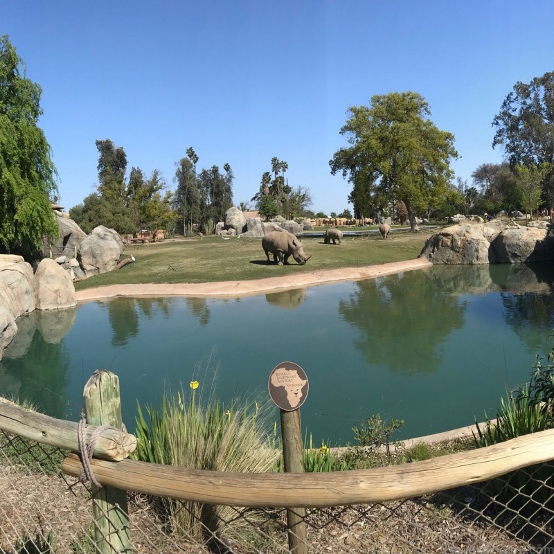 fresno california for tourists travelers 1