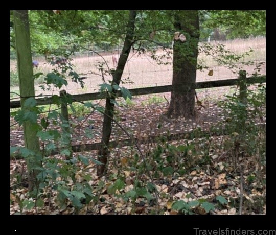 a day in florsheim am main