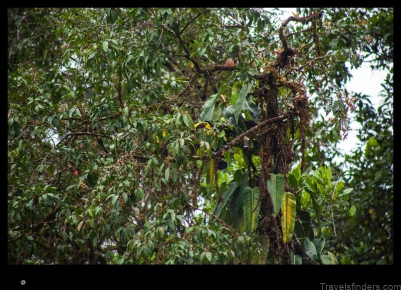 explore the charming town of san cipriano po with this detailed map