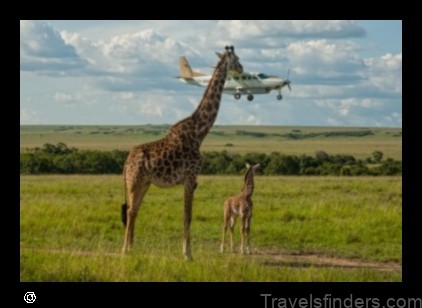 explore the diverse landscapes of nguruka tanzania