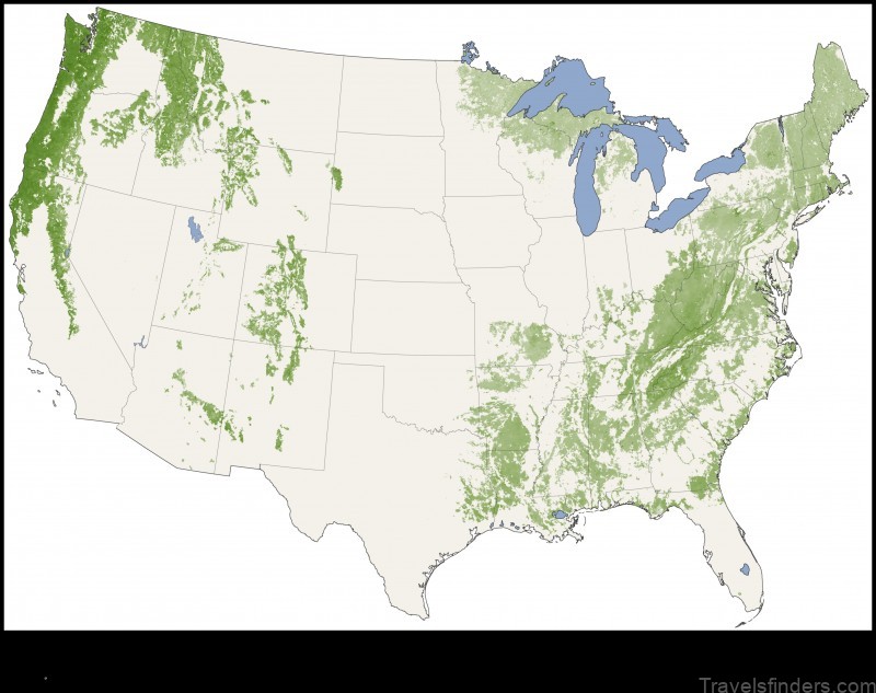 explore the map of forest heights united states
