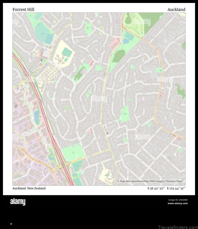 explore the map of forrest hill new zealand